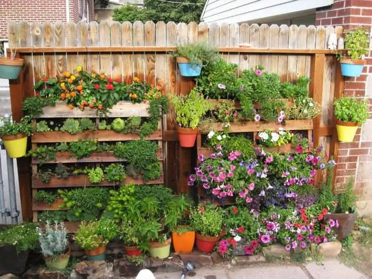 Cheap DIY Fence Ideas Anyone Can Build | miedzianepatelnie.pl